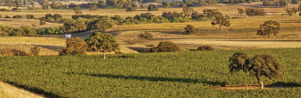 Blackstone artisan wines