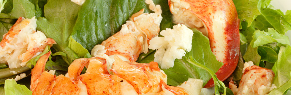 Lobster Salad