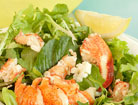 Closeup of Lobster Salad